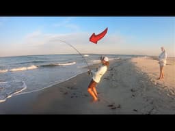 These Beach Fish Go NUTS Over THIS Bait!