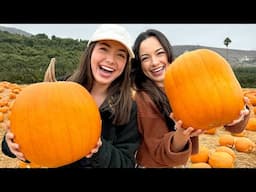 Twins vs Twin! Who picked the Best Pumpkin?