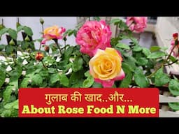 Best Rose Plant Food - fertilizer n more / गुलाब के लिए शक्तिशाली खाद और....