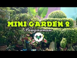 The Mini  Garden in the Province of Pangasinan by HRV Channel #hrvchannel #minigarden