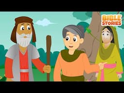 Story of Abraham & more | Bible Stories Compilation Video