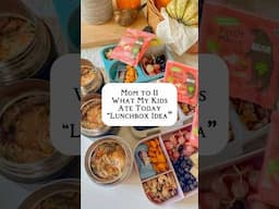 Lunchbox Ideas For My 11 Children | Chicken Pot Pie Casserole