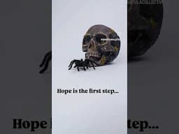 The first step is always the hardest. Tarantula Demotivational Quotes. #tarantula #motivational