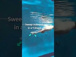 Butterfly swimming breakdown step by step #swimmingtips #swimming #shorts