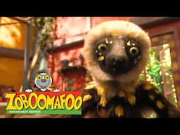 Zoboomafoo with the Kratt Brothers! FAST & SLOW | Full Episodes Compilation