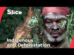 The Punu People and Their Fight to Protect Gabon’s Sacred Forests | SLICE | FULL DOCUMENTARY