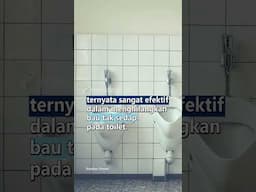 BAHAN BAHAN ALAMI UNTUK MENGHILANGKAN BAU WC, SEHAT DAN HEMAT!