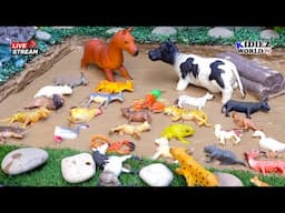 Wild Animals vs Farm Animals in the Muddiest Showdown Ever