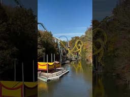 Busch Gardens Williamsburg #fun #themepark #travel #rollercoaster #rides