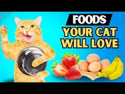 Human Foods That Cats Can Enjoy