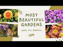 Unveiling Beauty: Wellington Botanic Garden Exploration