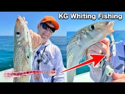 Catch and Cook KING GEORGE WHITING Fishing, Best Eating Fish!