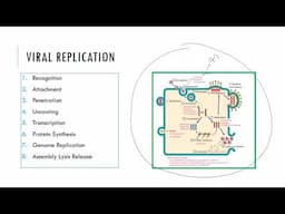 Intro to Viruses