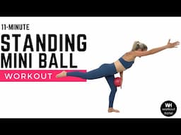 STANDING MINI BALL | Pilates Inspired| Balance + Mobility Workout