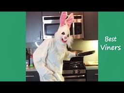 Try Not To Laugh or Grin While Watching Funny Clean Vines #73 - Best Viners 2023