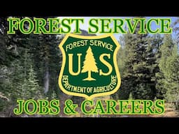 Forest Service Jobs and Careers in Conservation Explained (Structure, types of work, requirements)