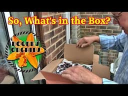 An Unboxing Video More New Orchids