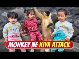 Monkey ne kiya attack