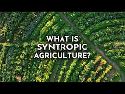 Syntropic Agriculture & How It Can Transform the Future of Farming | Joshua Sparkes