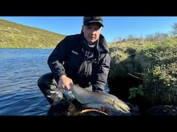 Brown Trout Fishing in ICELAND part 2 Icelandic Elements PRIVATE TOURS