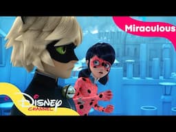 Paris har frosset til is! | Miraculous | Disney Channel Norge