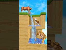 Take The Water Challenge! 🐄 Cow Cartoon Vs Tiger Wolf 🦁 #shorts #cow #tiger #cartoonanimals