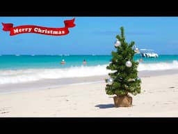 Christmas on the Tropical BEACH🎸Instrumental Christmas Music 🎄Holiday Ambience Music and Ocean Waves