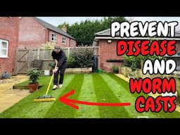 This One Thing will Help Prevent DISEASE and WORM CASTS in Your Lawn