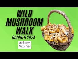 Wild Mushroom Walk- October 2024