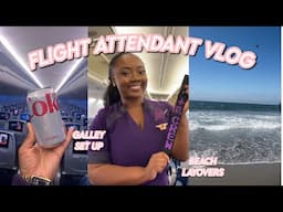 FLIGHT ATTENDANT WEEK IN MY LIFE | Base transfer, Working in the Galley, San Diego Layover