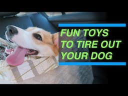 FUN TOYS TO TIRE OUT YOUR DOG: Playing with Tug Dog Toys