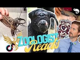 Zoologist Reacts To Viral Animal TikTok