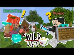 Stayin' Alive! Wild Life - Episode 4