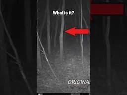 Is it Bigfoot or a Dogman? #bigfoot #monster