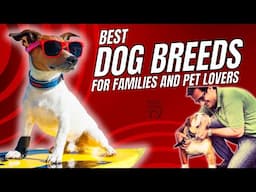 Top 10 Dog Breeds | Best Dogs for Families & Pet Lovers (2025)