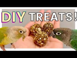 How to Make DIY Nutriberries | DIY Bird Treats