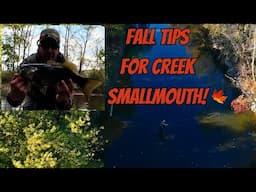 Fall Creek Fly Fishing Tips For Low Clear Water Smallmouth Plus Simple Bass Flies!