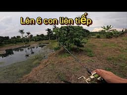 Thăm Lại Bãi Xưa Lên 6 Con Liên Tiếp - Video 2024