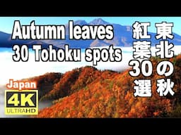 東北の紅葉30選 Autumn leaves in Tohoku 紅葉の名所 日本の紅葉 JAPAN 東北観光 東北旅行 trip 秋の風景東北の絶景 秋の東北 蔵王 奥入瀬 十和田湖 鳴子 裏磐梯