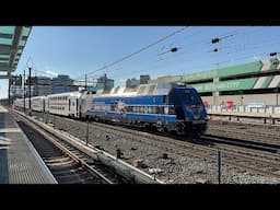 Amtrak, NJ Transit, & PATH Trains @ Harrison (11/7/24)