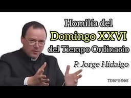 Homilía del Domingo XXVI del Tiempo Ordinario - P. Jorge Hidalgo