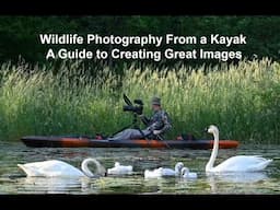 Wildlife Photography Tips For Beginners - Learn to Anticipate the Action