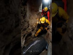 Is This Cave Monster True?