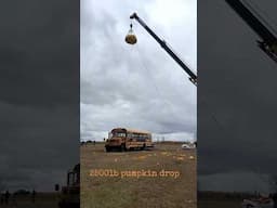 2500lbs Pumpkin Drop vs $100 Side Hustle!