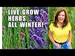 🌿LIVE: Growing Perennial Herbs ALL Winter Long! (REPLAY)