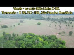 Vende - se este Sitio Linha C-80, Travessão - B 30, RO- 459, Alto Paraíso Rondônia