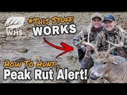 How To Hunt The Peak Rut Weather Forecast