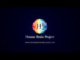 Overview of the Human Brain Project