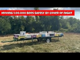 Moving 1,000,000 Bees at Night! See How We Do It Safely 🐝🚚