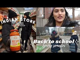 Indian Store haul + Back to school (spring sem)